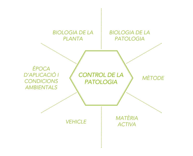 Control de la patologia