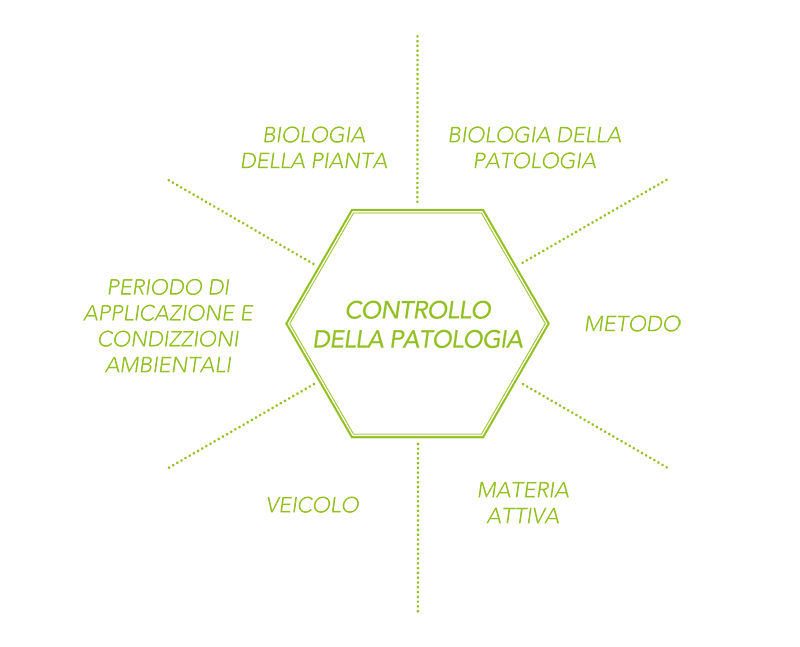 Controllo della patologia