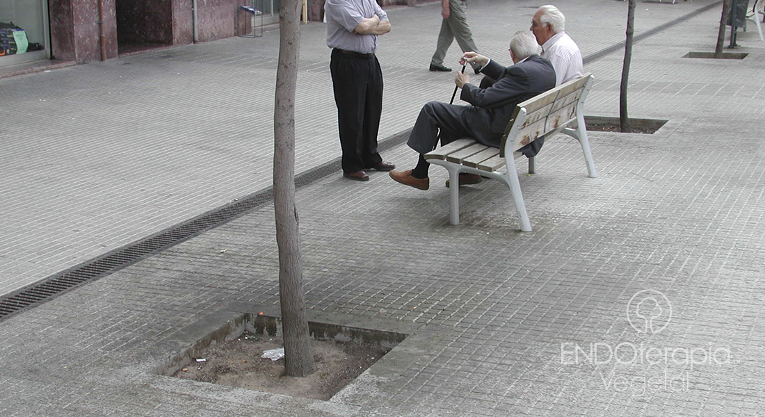 Fig. c - Manchas en el pavimento urbano ocasionadas por las exudaciones de melaza de Cacopsylla.